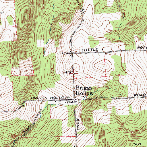 Topographic Map of Briggs Hill Cemetery, NY