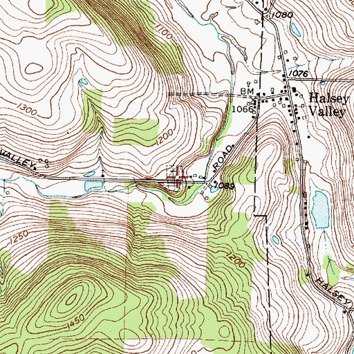 Topographic Map of Halsey Valley Cemetery, NY