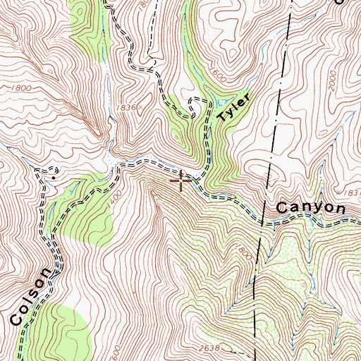 Topographic Map of Tyler Canyon, CA