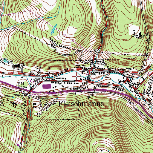Topographic Map of Fleischmann Athletic Park, NY
