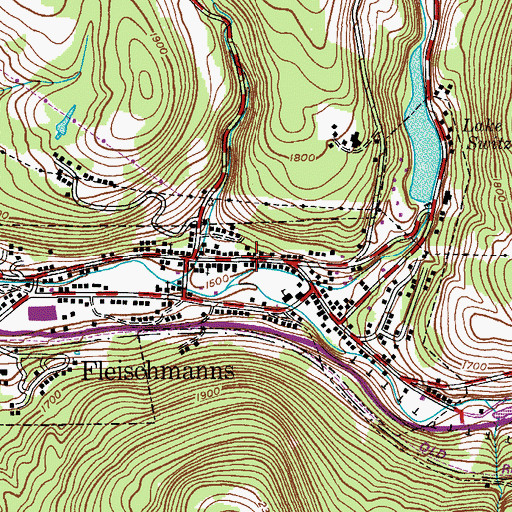 Topographic Map of Skene Memorial Library, NY