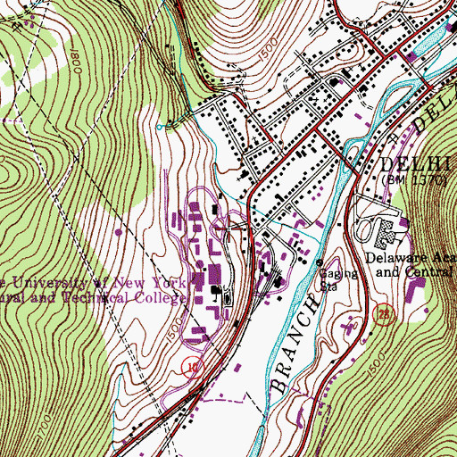 Topographic Map of North Hall, NY