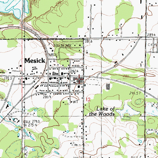 Topographic Map of Mesick Middle School, MI