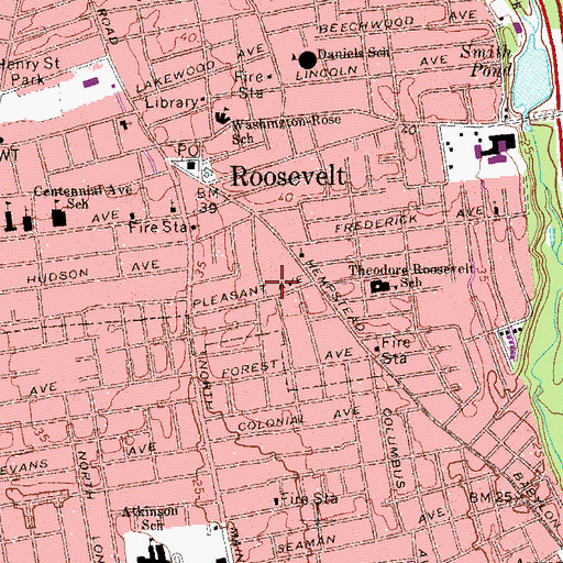 Topographic Map of Roosevelt Children's Academy Charter School, NY