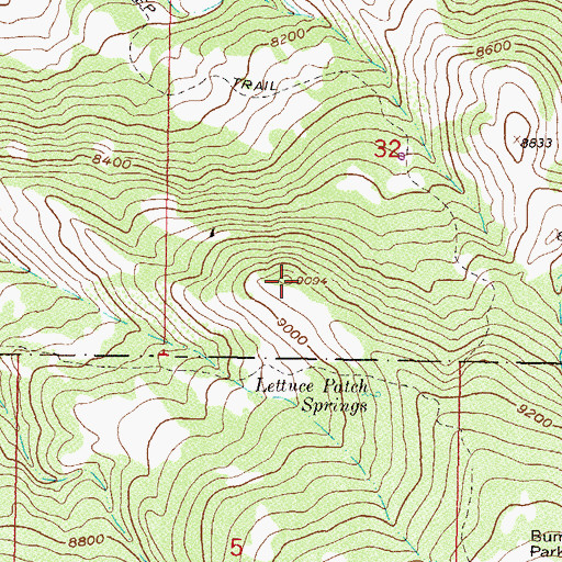 Topographic Map of Whittaker Point, CO