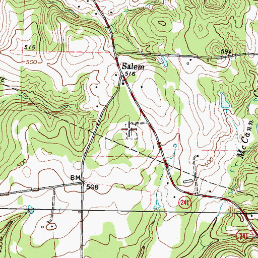 Topographic Map of Salem Cemetery, TX