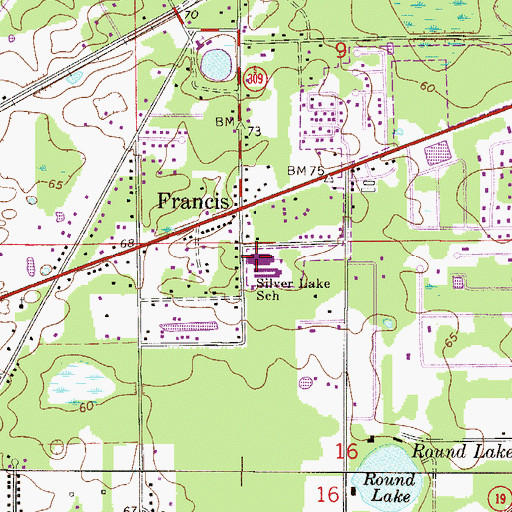 Topographic Map of Silver Lake School, FL