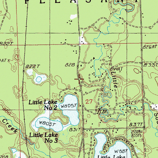 Topographic Map of Baldwin Assembly of God Church, MI