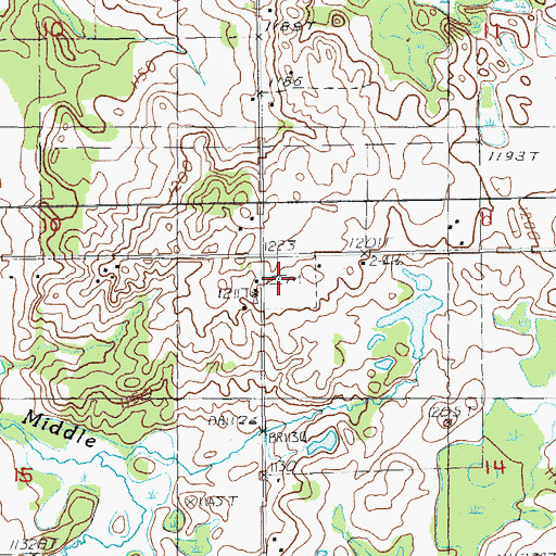 Topographic Map of Chase Township Cemetery, MI