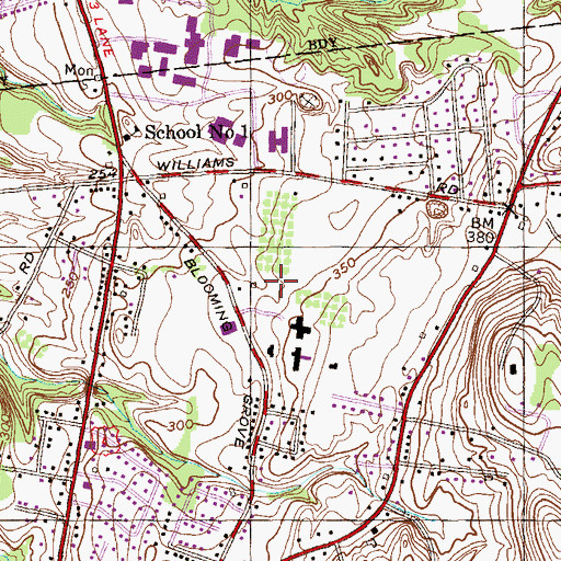 Topographic Map of Saint Paul The Apostle Catholic Church, NY
