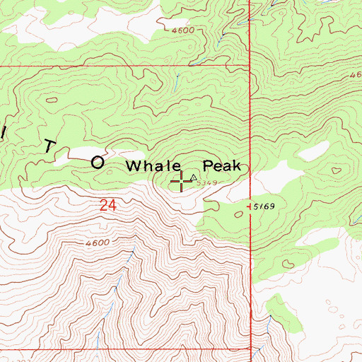 Topographic Map of Whale Peak, CA