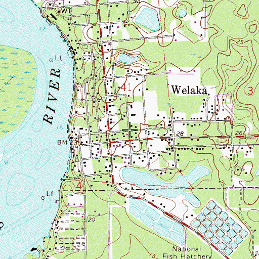 Topographic Map of Welaka Volunteer Fire Department, FL