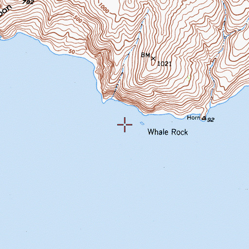 Topographic Map of Whale Rock, CA