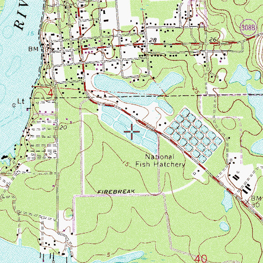 Topographic Map of Welaka Town Park, FL