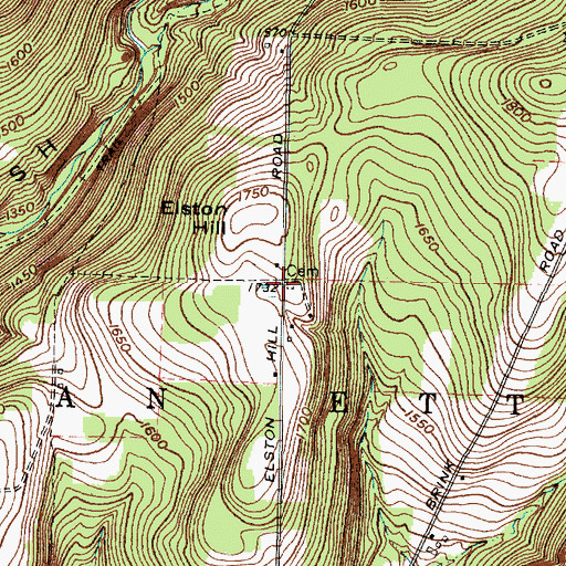 Topographic Map of Elston Hill Cemetery, NY