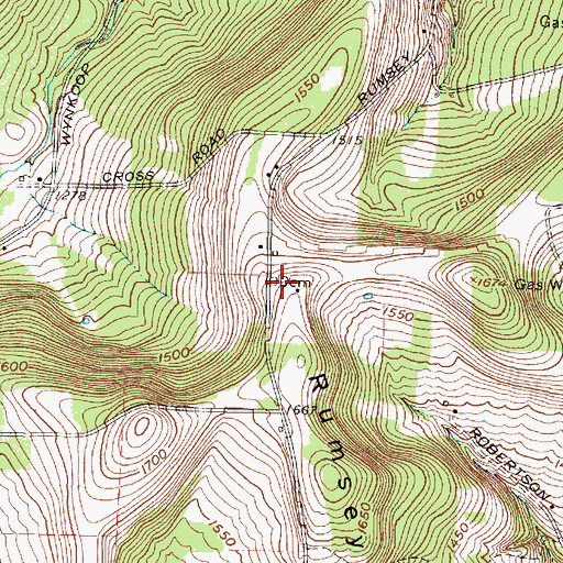 Topographic Map of Jenkins Cemetery, NY