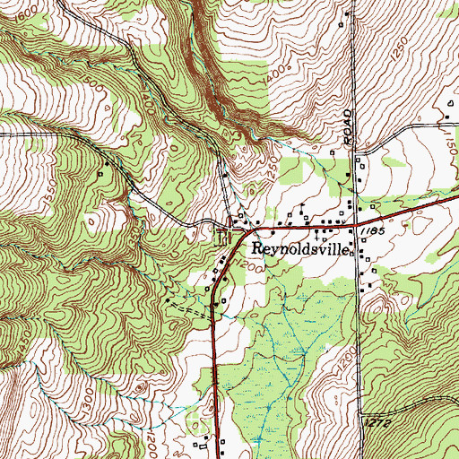 Topographic Map of Reynoldsville Cemetery, NY