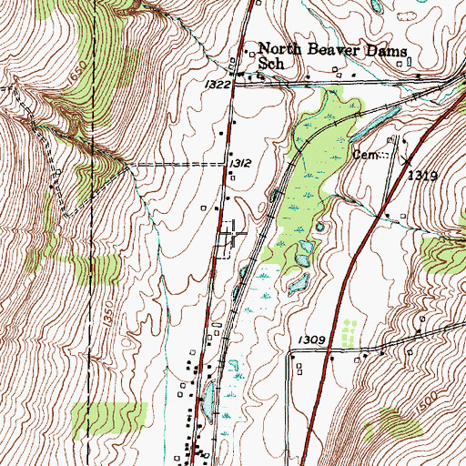 Topographic Map of Beaver Dams Cemetery, NY