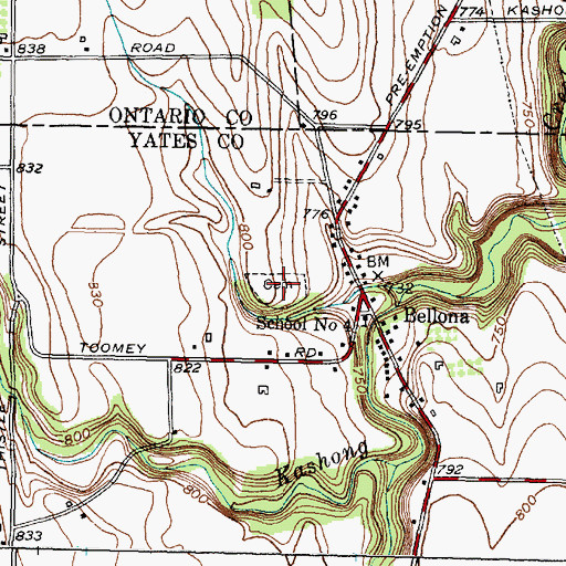 Topographic Map of Bellona Cemetery, NY