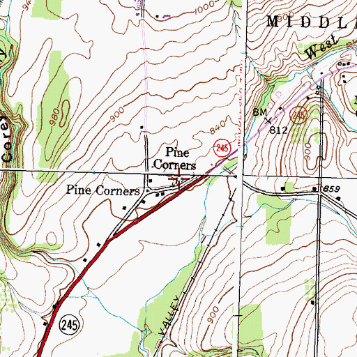 Topographic Map of Pine Corners Cemetery, NY