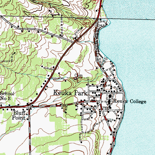 Topographic Map of Keuka Park Cemetery, NY