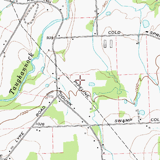 Topographic Map of Koskinen Farms, NY