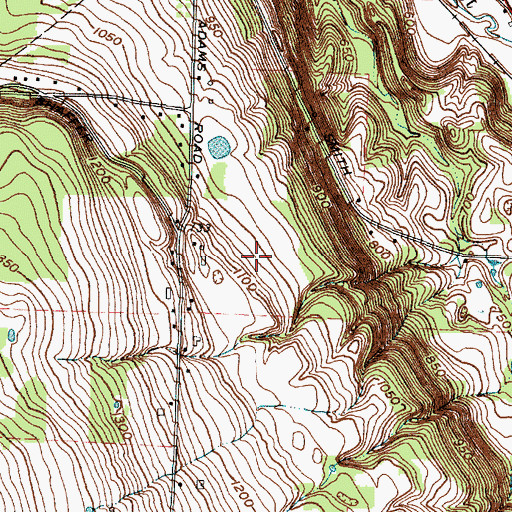 Topographic Map of Littletree Orchards, NY
