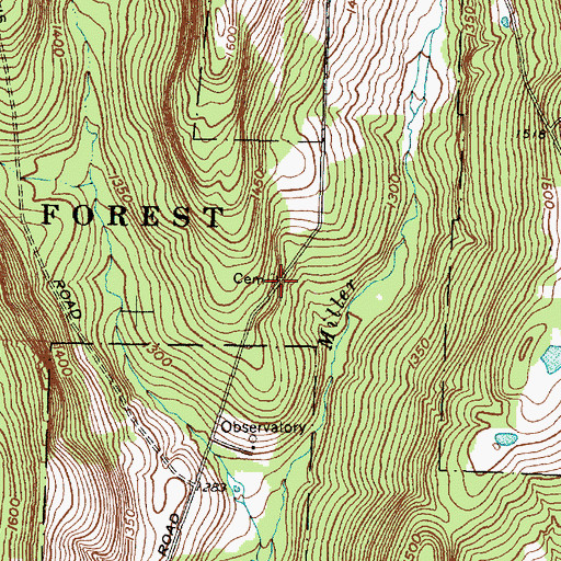 Topographic Map of Fisher Settlement Cemetery, NY