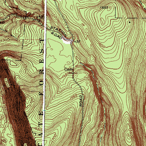 Topographic Map of Green And Mettler Cemetery, NY