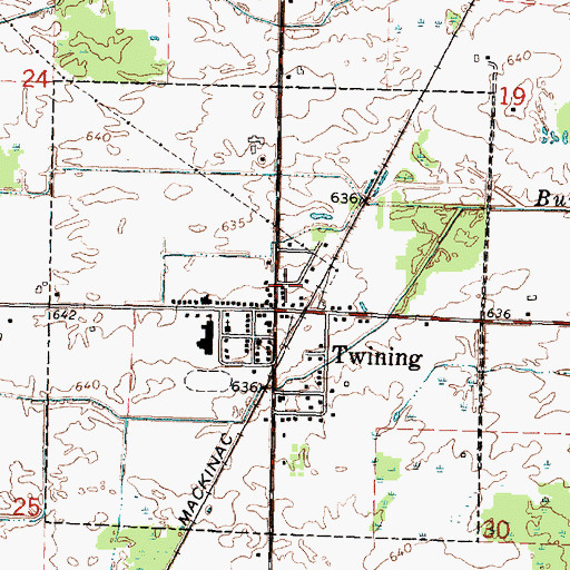 Topographic Map of Turner Township Hall, MI