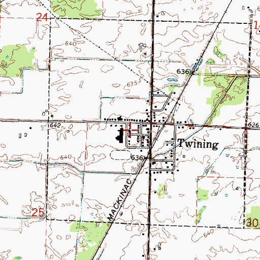 Topographic Map of Trinity United Methodist Church, MI