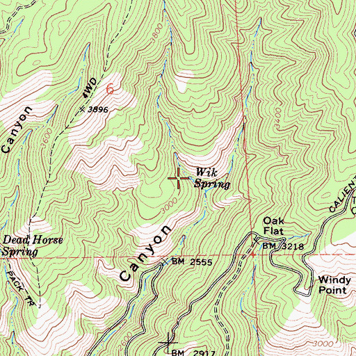 Topographic Map of Wik Spring, CA
