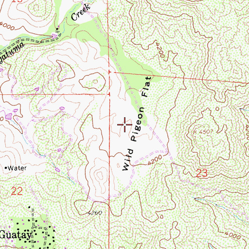 Topographic Map of Wild Pigeon Flat, CA