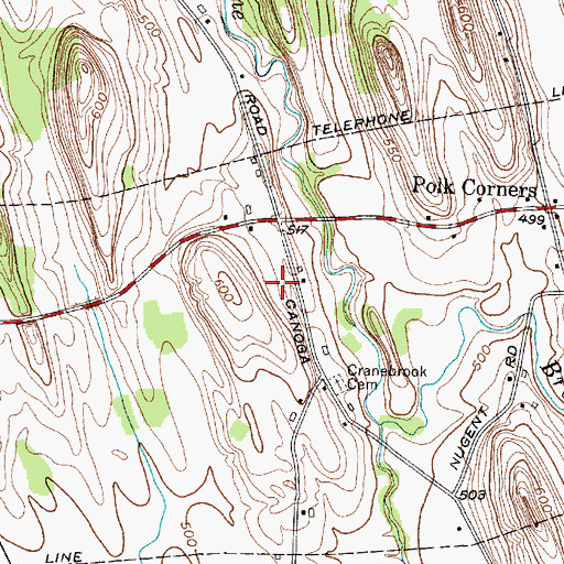 Topographic Map of Cranebrook Tree Farm, NY