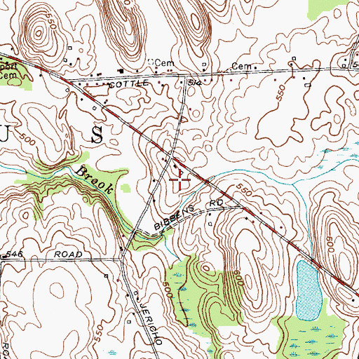 Topographic Map of Bibbens Farms, NY