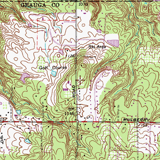 Topographic Map of Patterson Fruit Farm, OH