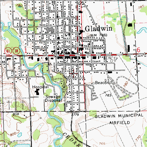 Topographic Map of Reorganized Church of Latter Day Saints, MI