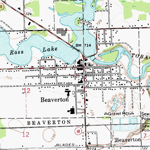 Topographic Map of Beaverton Police Department, MI