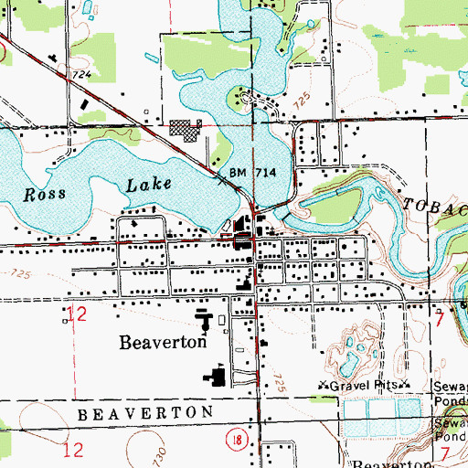Topographic Map of Beaverton City Hall, MI