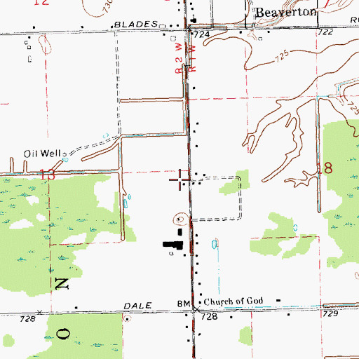 Topographic Map of Beaverton Area Fire Department, MI