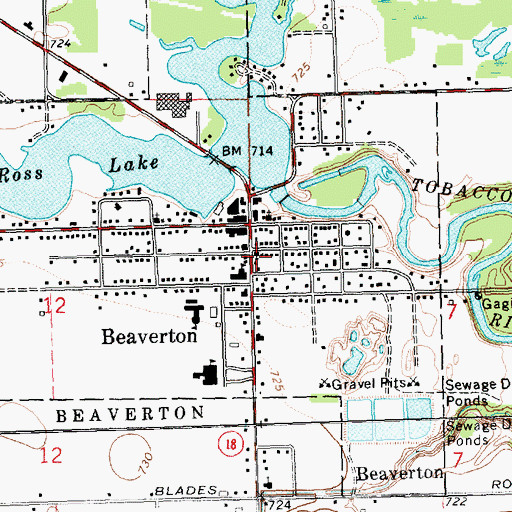 Topographic Map of First Presbyterian Church, MI