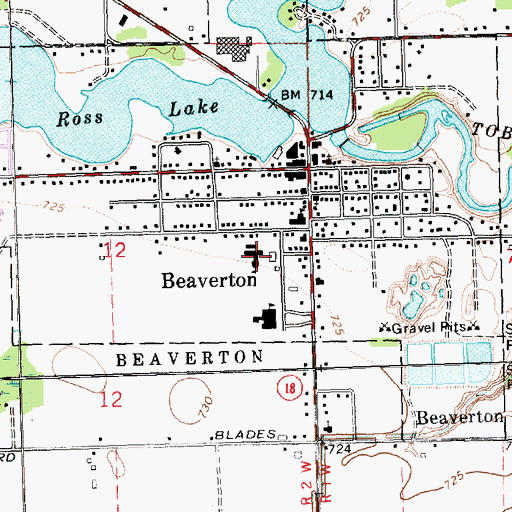 Topographic Map of Beaverton Primary School, MI