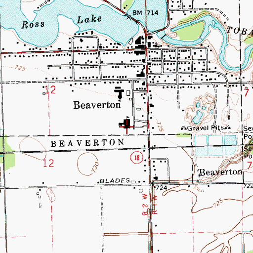 Topographic Map of Beaverton Middle School, MI