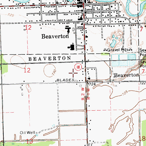 Topographic Map of Beaverton High School, MI