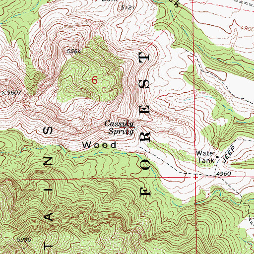 Topographic Map of Cassidy Spring, AZ