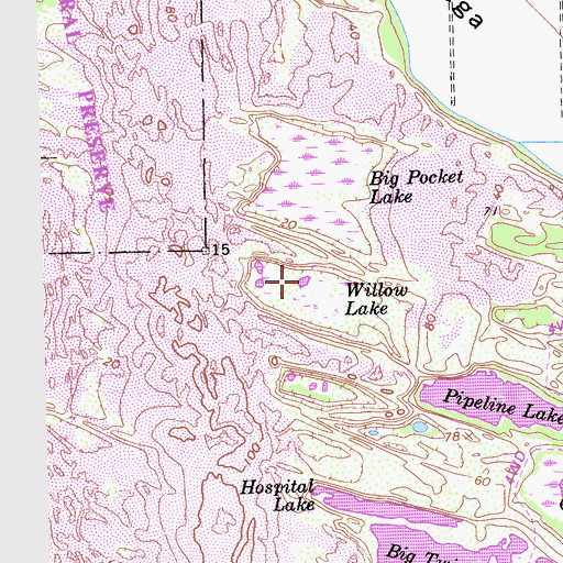Topographic Map of Willow Lake, CA