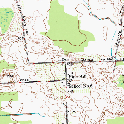 Topographic Map of Pine Hill Cemetery, NY