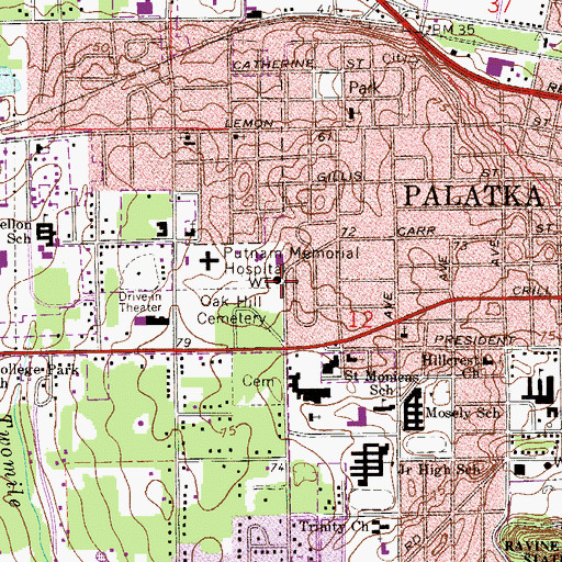Topographic Map of Palatka Water Tower, FL