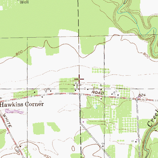 Topographic Map of Falcone Farms, NY