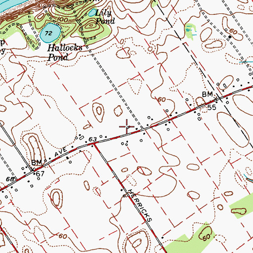 Topographic Map of Hallockville Museum Farm, NY